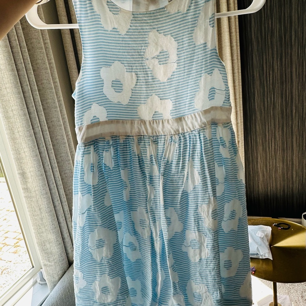 Blue and White Floral Striped Dress
